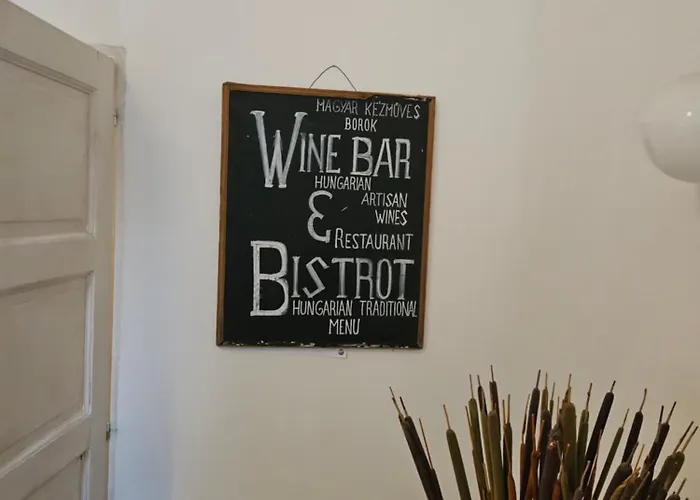 Vibe Hostal